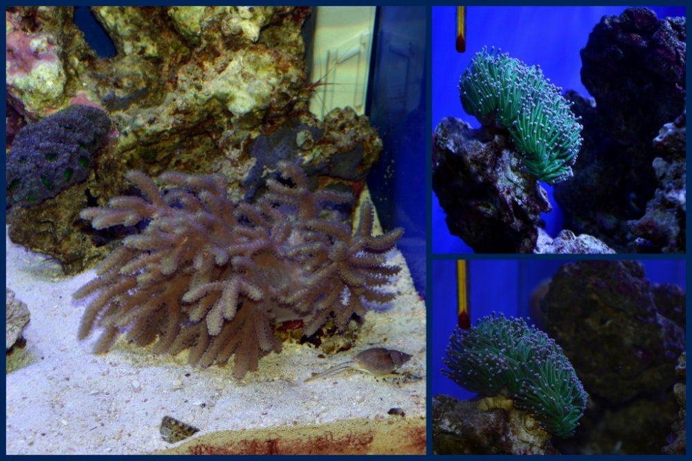 FormatFactoryTydzień 24.jpg