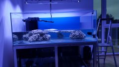 Akwarium ze skałą i 300l wody