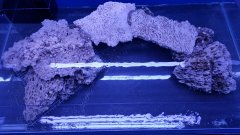 Układ skały od góry