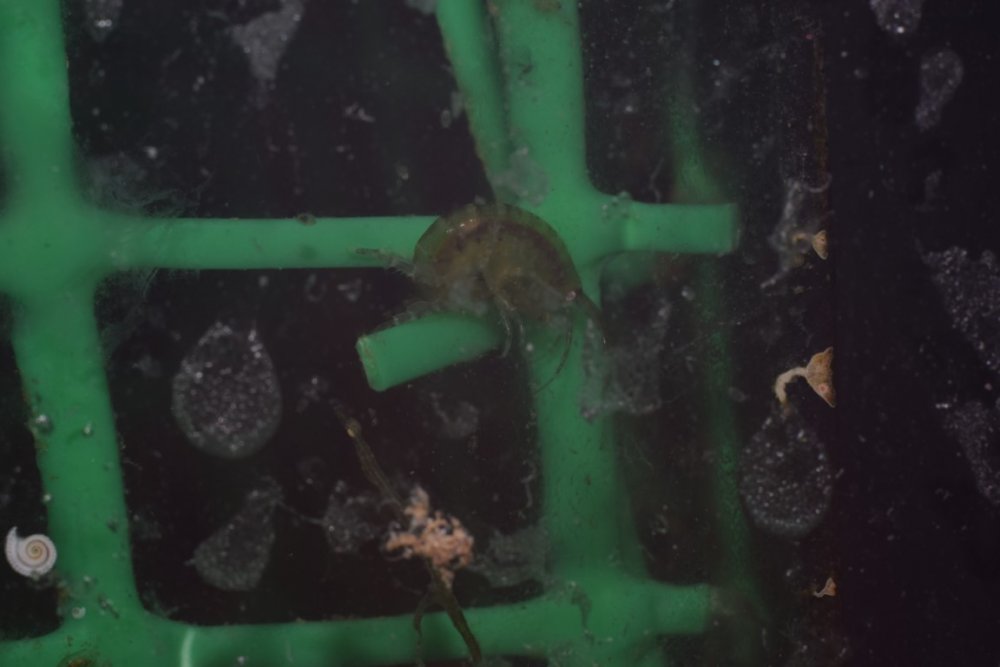 DSC_5741 (Kopiowanie).jpg