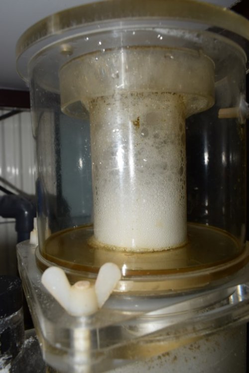 DSC_5900 (Kopiowanie).jpg