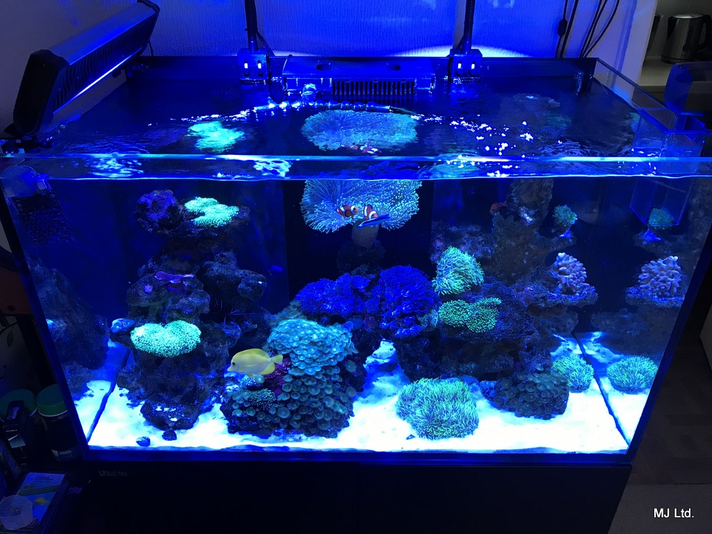 Sterylizator Uv Pytania O Sprzet 60 250 L Nano Reef Pl