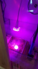 20170321_233926 (Kopiowanie).jpg