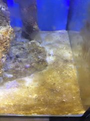 Plik 12.07.2017, 13 16 48.jpeg