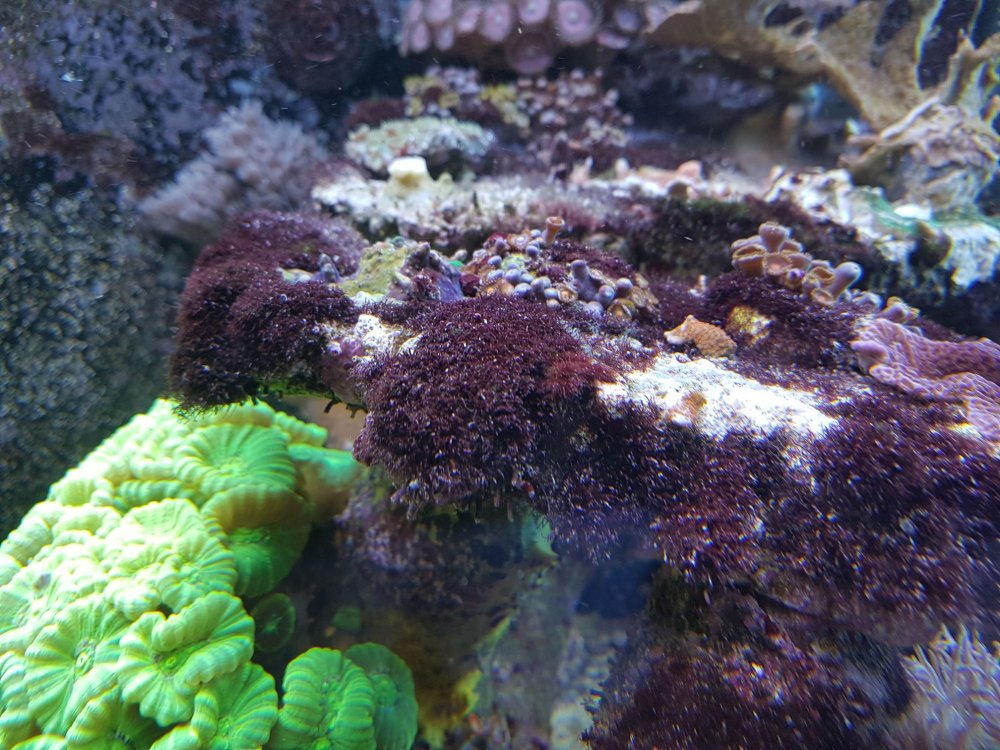 20170809_200944_mini.jpg