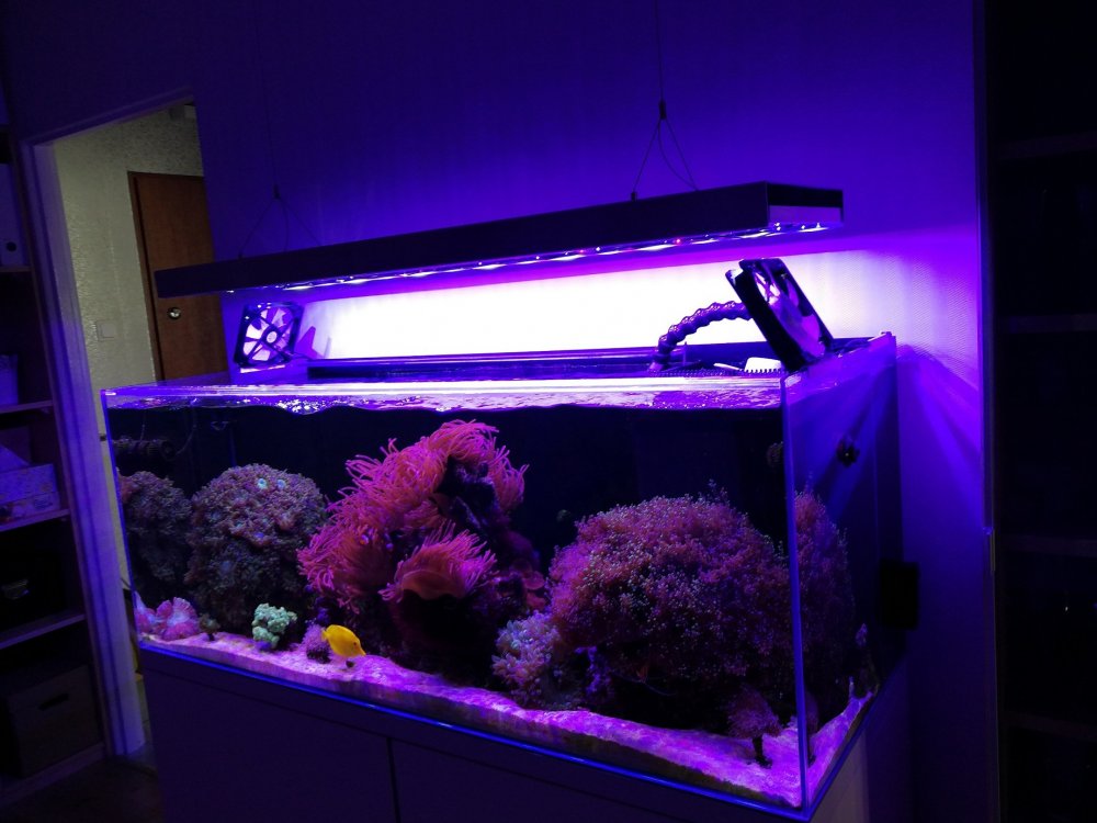 Akwa chłodzenie.jpg