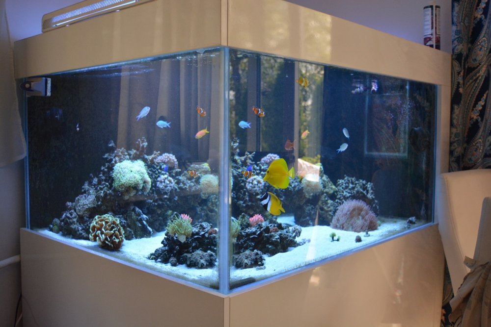 akwarium.jpg