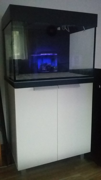 20170924_152223.jpg