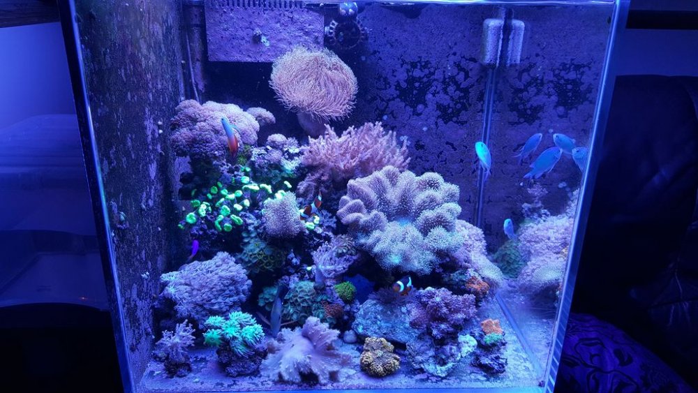 20170918_191908 [1024x768].jpg