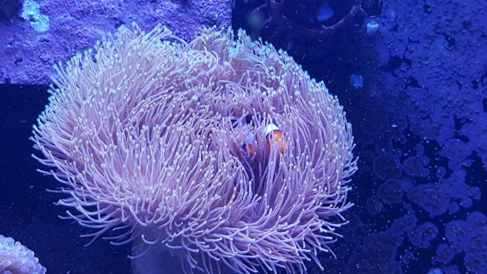 20170918_192117 [1024x768].jpg