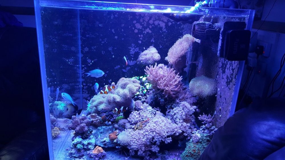 20170918_192235 [1024x768].jpg