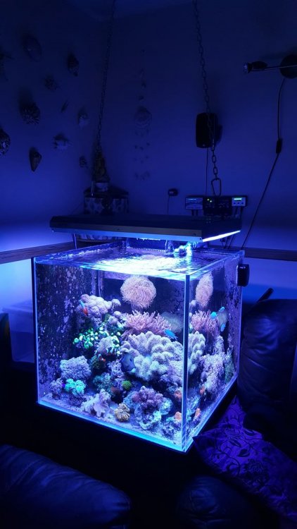 20170918_192338 [1024x768].jpg