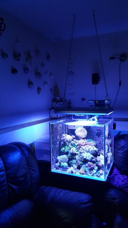 20170918_192355 [1024x768].jpg