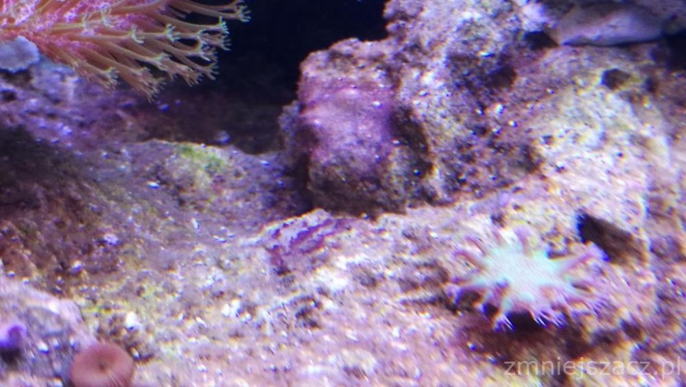 9425782_IMG_20170919_170423 (1).jpg