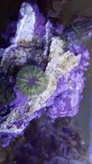 20170922_183140.jpg
