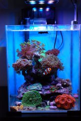 DSC_8067 (Large).JPG