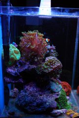 DSC_8092 (Large).JPG