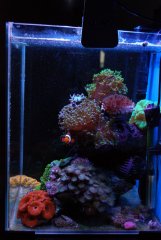 DSC_8095 (Large).JPG