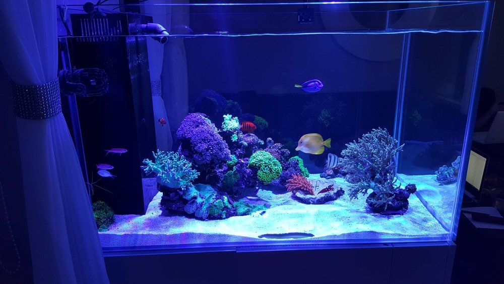 2017-08-29 22.33.46.jpg