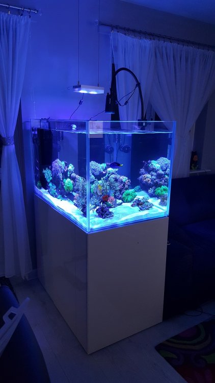 2017-08-29 22.34.04.jpg