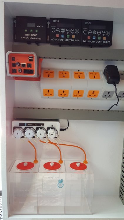 2017-08-12 17.05.08.jpg