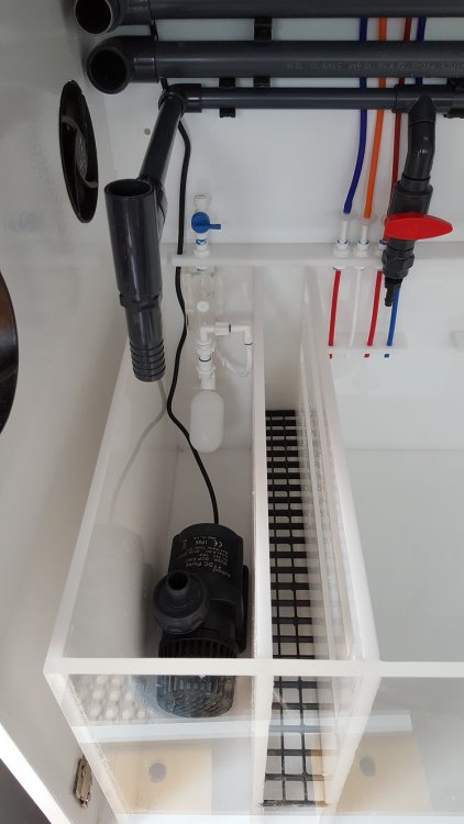 2017-08-20 16.25.11.jpg