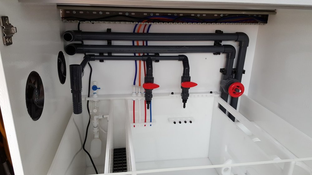 2017-08-20 16.25.20.jpg