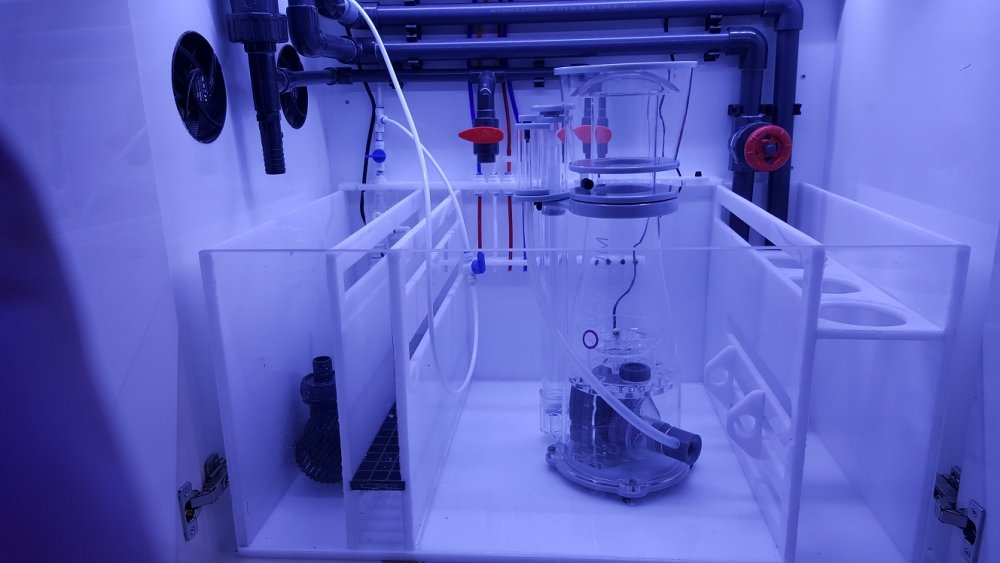 2017-08-25 22.19.04.jpg