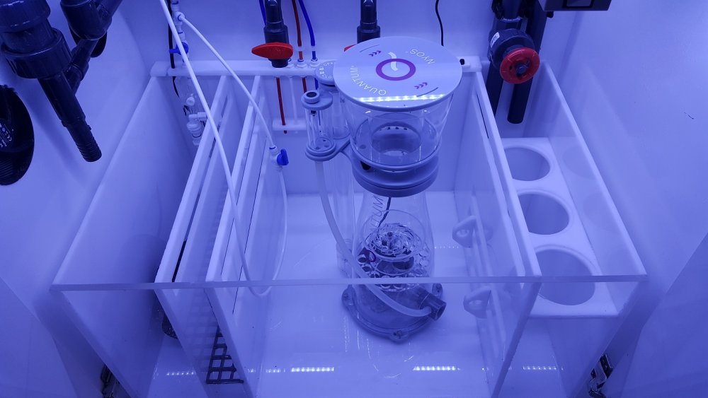 2017-08-25 22.19.30.jpg