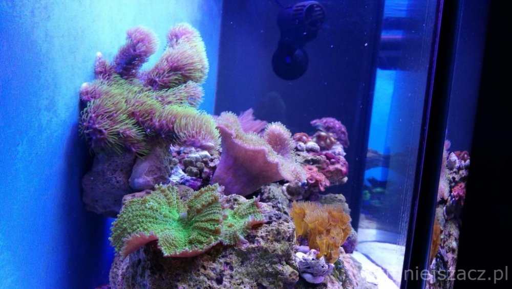 IMG_20171025_173201 (1).jpg