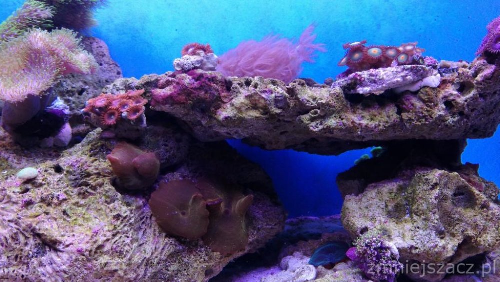 IMG_20171025_173915 (1).jpg