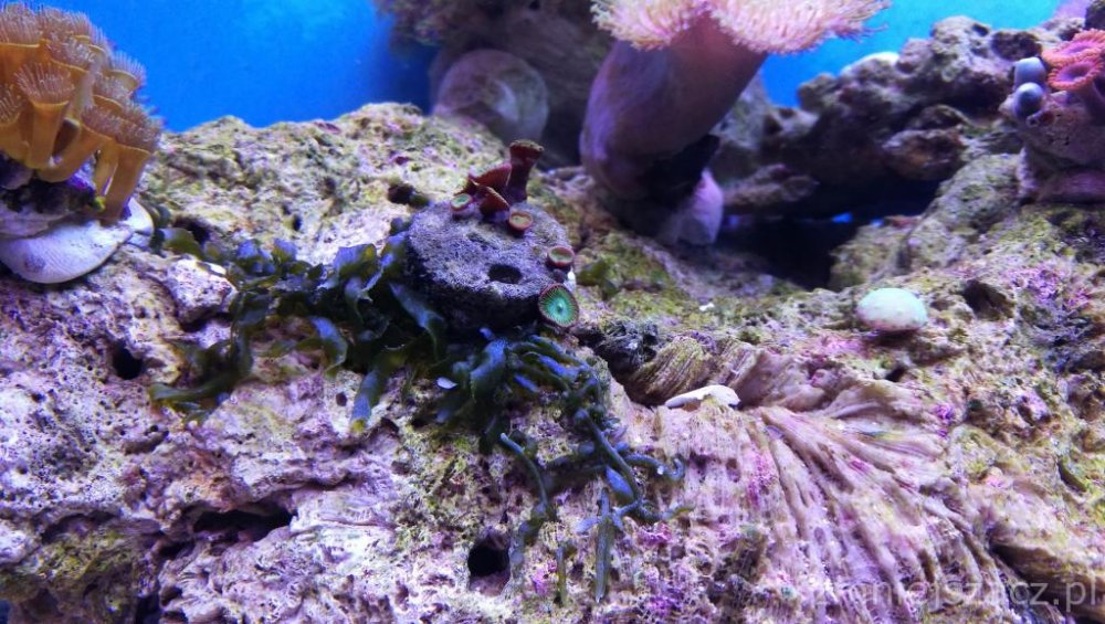 IMG_20171025_173920 (1).jpg