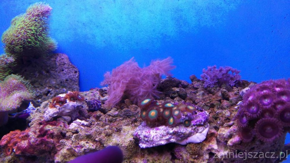 IMG_20171025_173928 (1).jpg