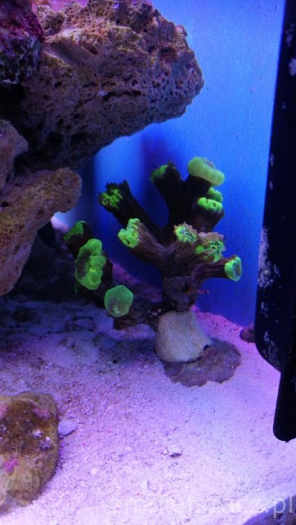 IMG_20171025_173938 (1).jpg