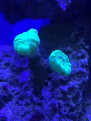 Plik 09.10.2017, 14 16 11.jpeg