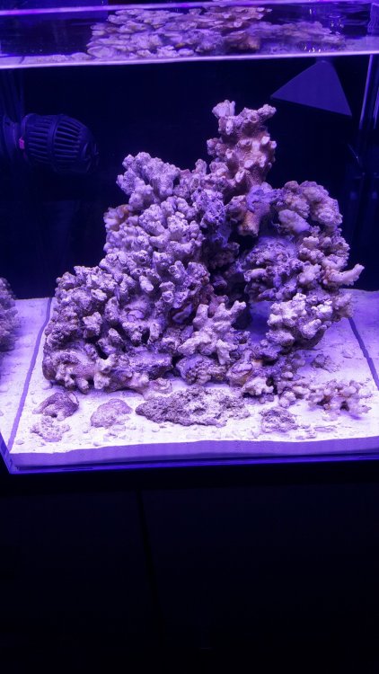 20171116_162215-1024x1820.jpg