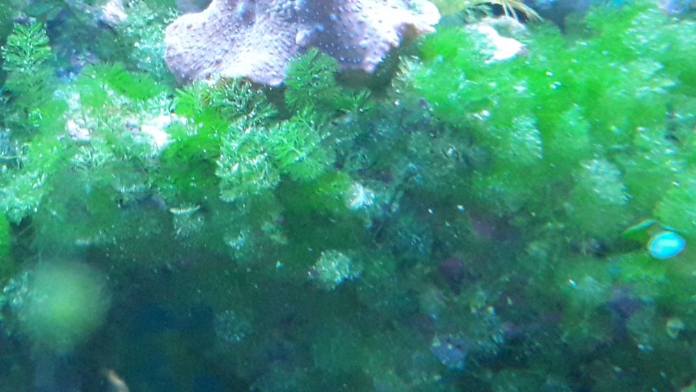 20171121_153645.jpg