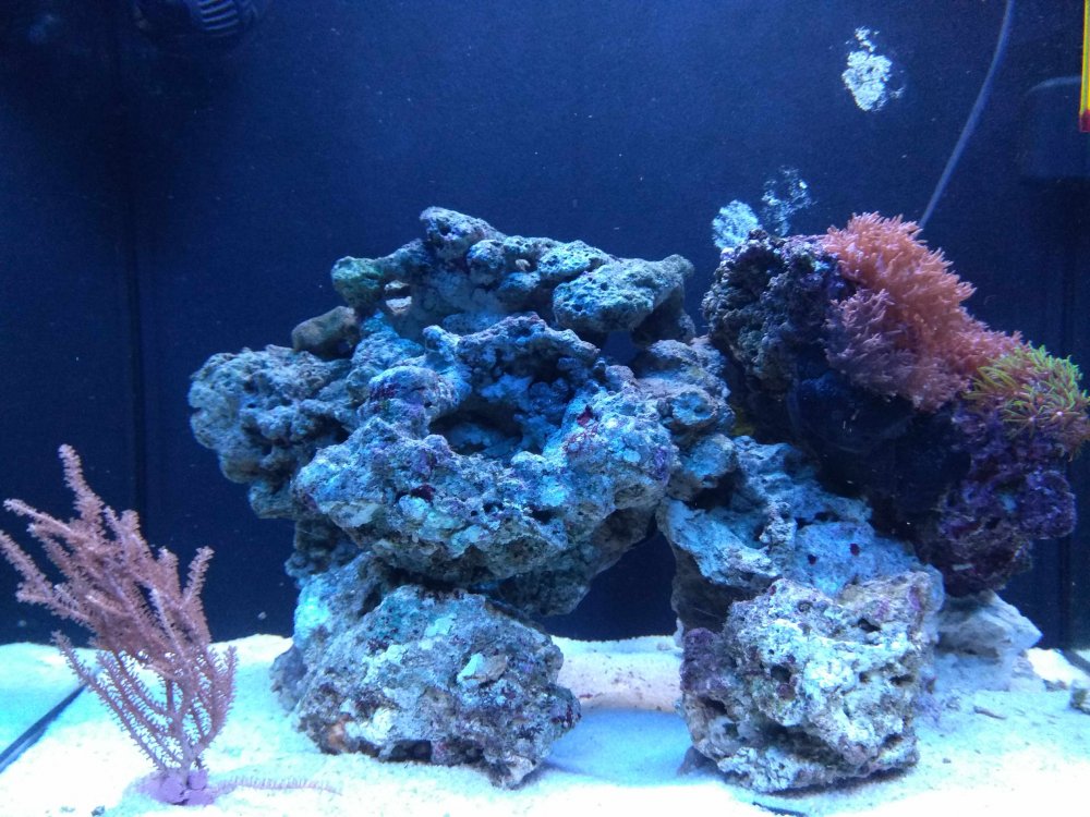 IMG_20171118_185857 1.jpg