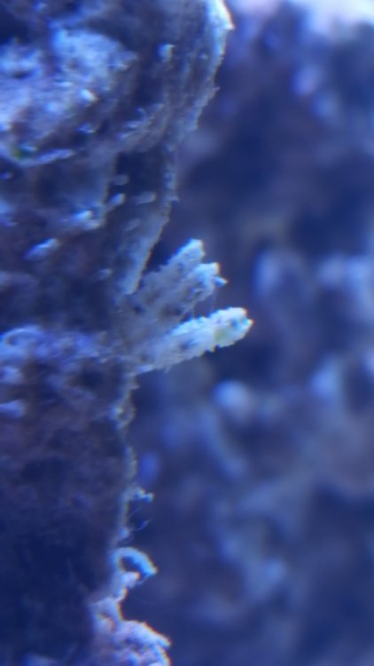 20171210_155303-2241x3984.jpg