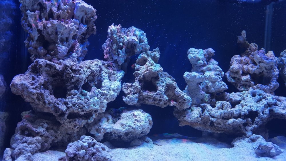 20171210_155349_008-3984x2241-1593x896.jpg