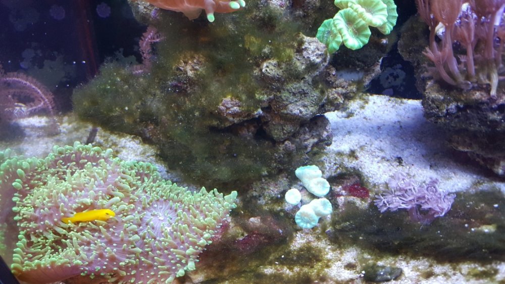 20171217_154357 - Kopia.jpg