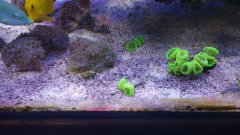 20171211_181847.jpg