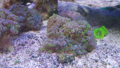 20171211_181851.jpg