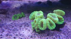 20171211_181854.jpg