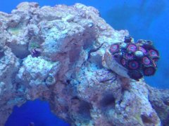 IMG_20171230_173258.jpg