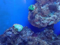 IMG_20171230_173314.jpg