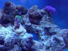 IMG_20171230_173323.jpg