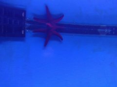 IMG_20171230_173335.jpg
