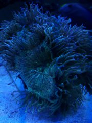 Moje 1000 l w obiegu :)