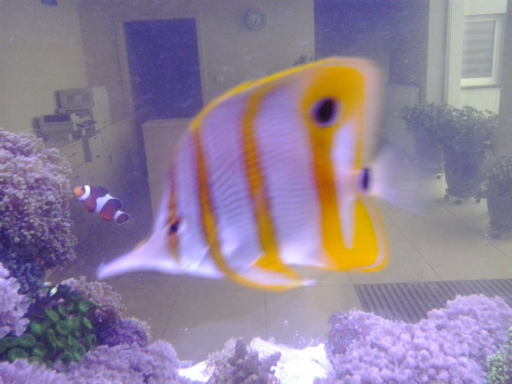 2014-04-04 18.35.03.jpg